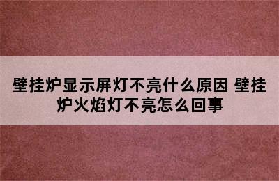 壁挂炉显示屏灯不亮什么原因 壁挂炉火焰灯不亮怎么回事